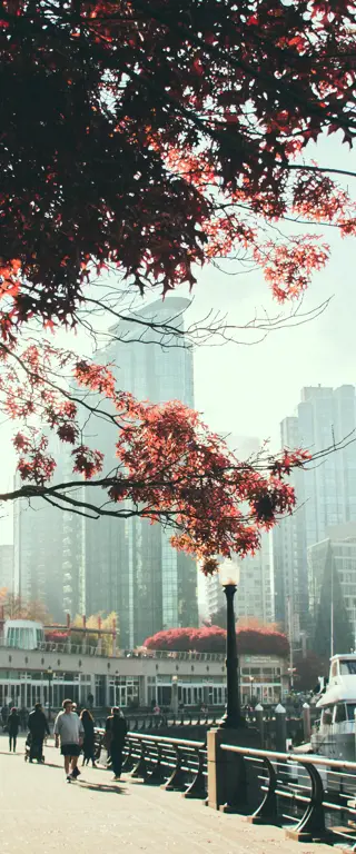 Die schönsten Vancouver Sehenswürdigkeiten mit Geheimtipps